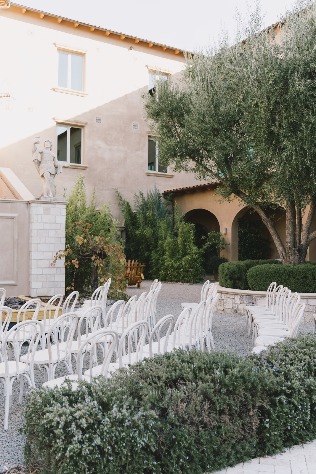 White chairs set up for the Allegretto Vineyard wedding