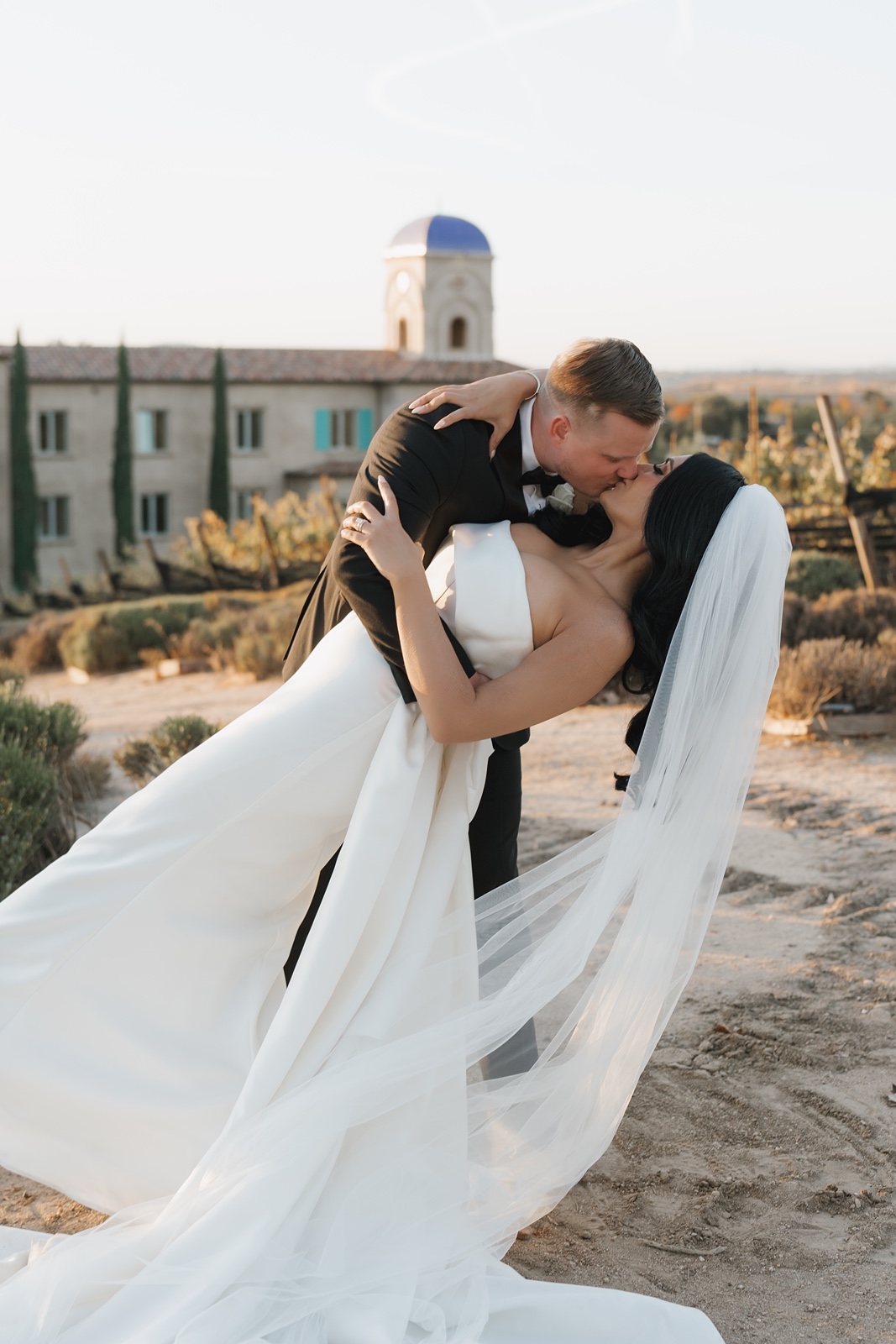 Bride and groom kiss in the vineyard at Allegretto Resort