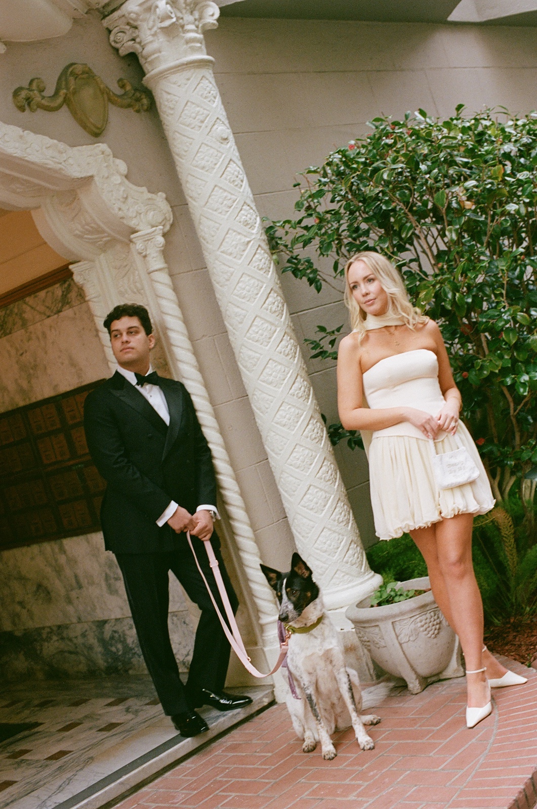 Man and woman with their dog in San Francisco