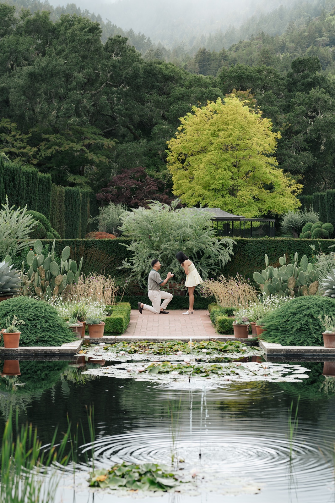 Man proposes to woman at Filoli Gardens